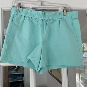 J.Crew Light Turquoise Shorts Size S